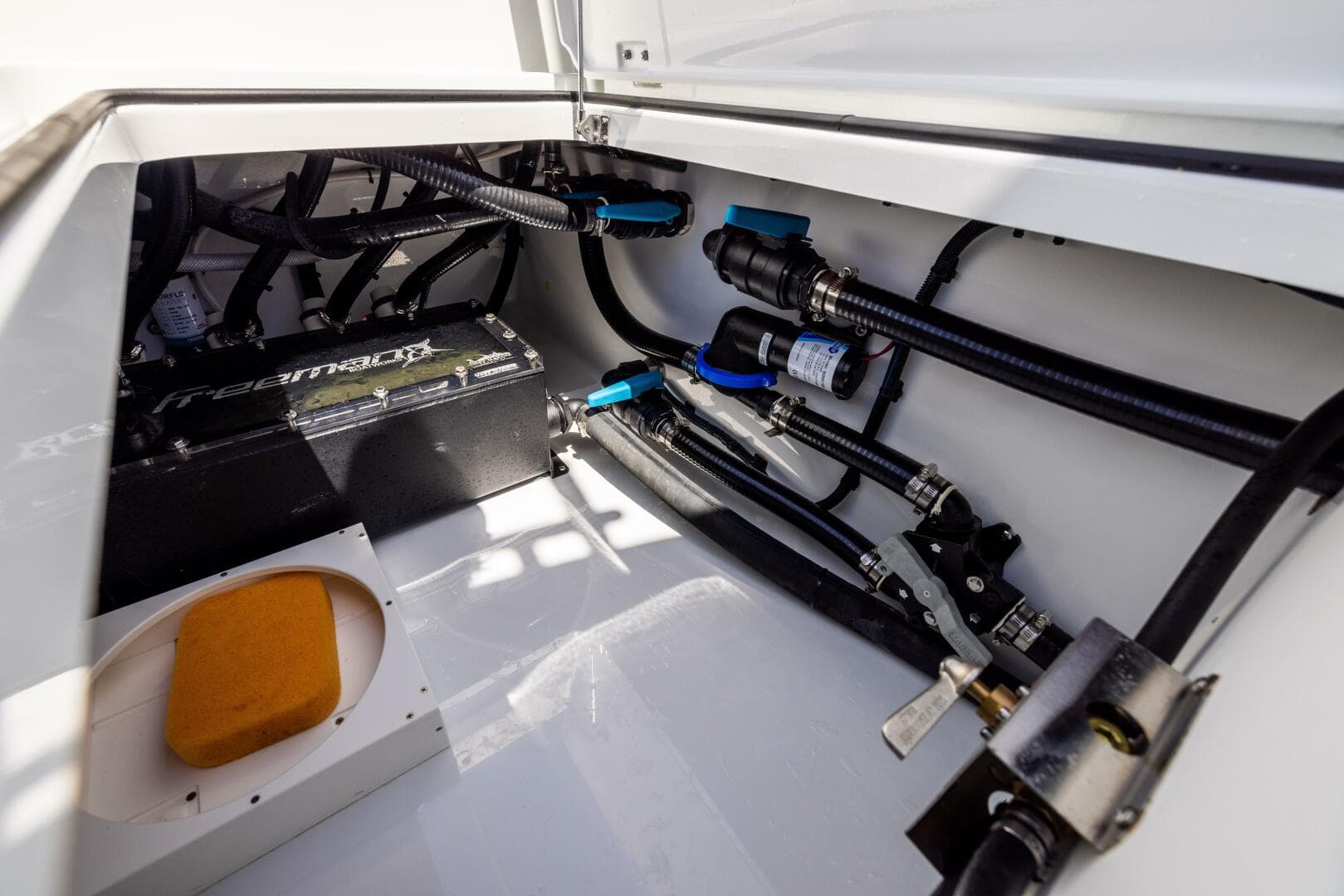 2026 Freeman 35 — photo 83