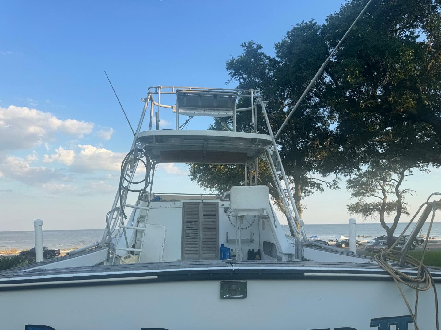 1980 Topaz Express — photo 4