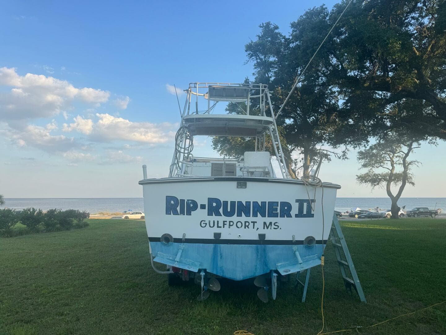 1980 Topaz Express — photo 6