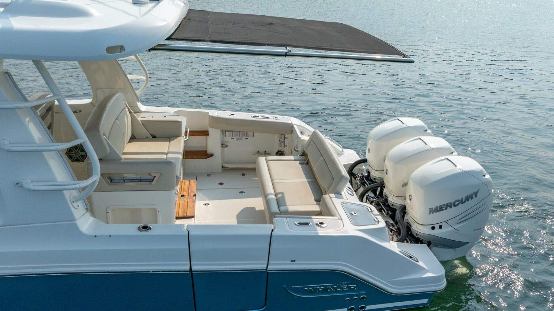 2019 Boston Whaler 350 EX Realm — photo 37