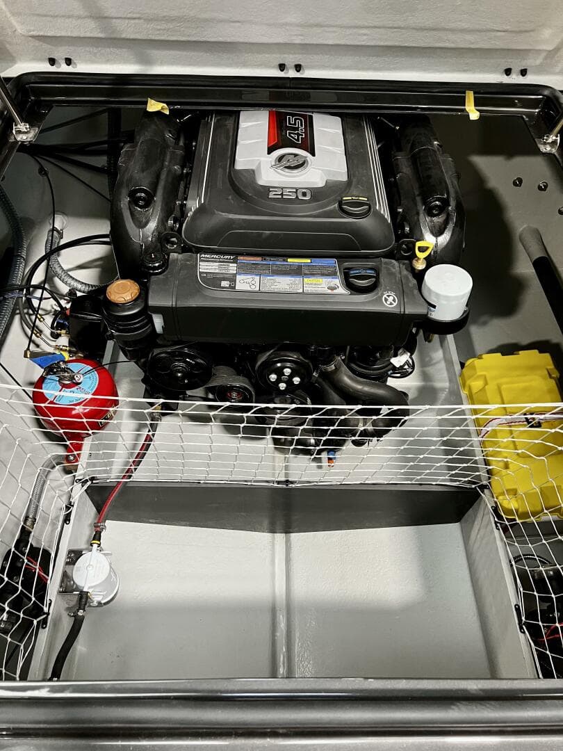 2026 Black Pepper Tender 24 — photo 11