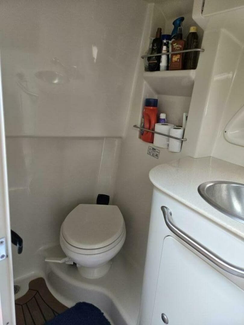 2008 Sea Ray 310 Sundancer — photo 22