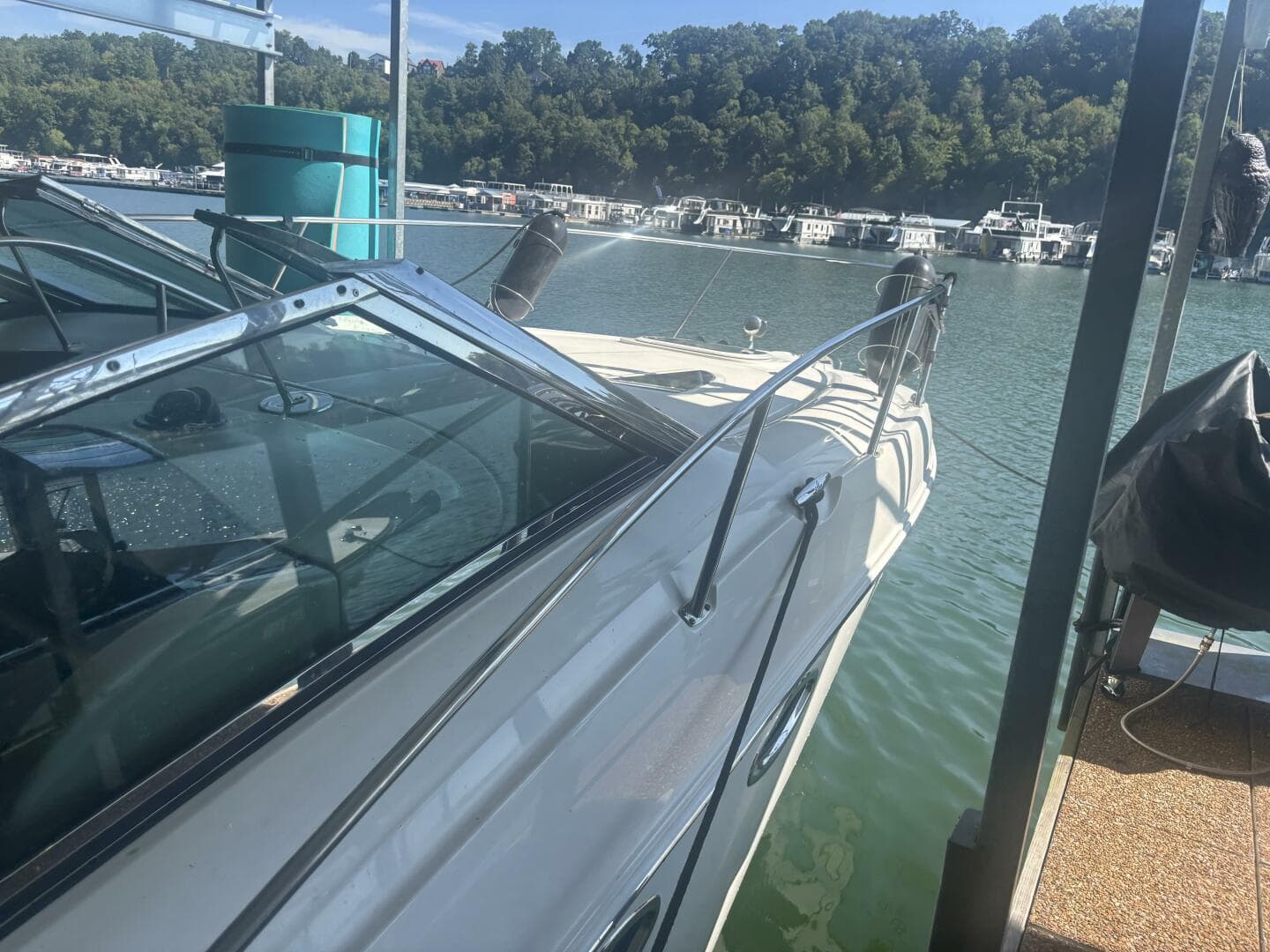 2008 Sea Ray 290 Sundancer — photo 39