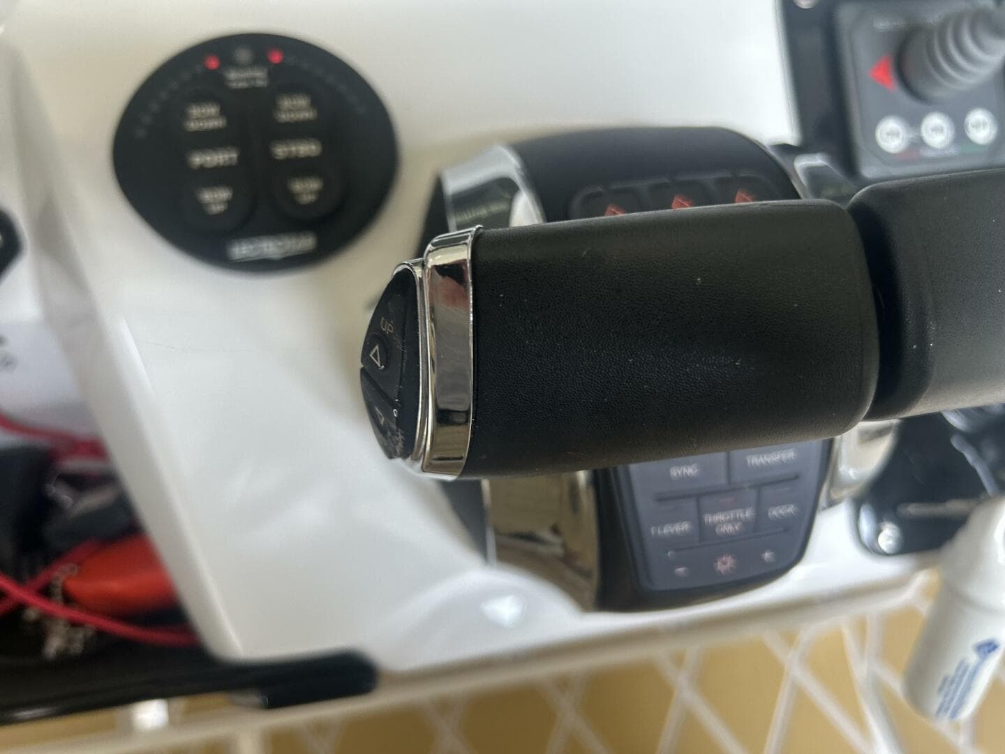 2019 Sunsation — photo 40