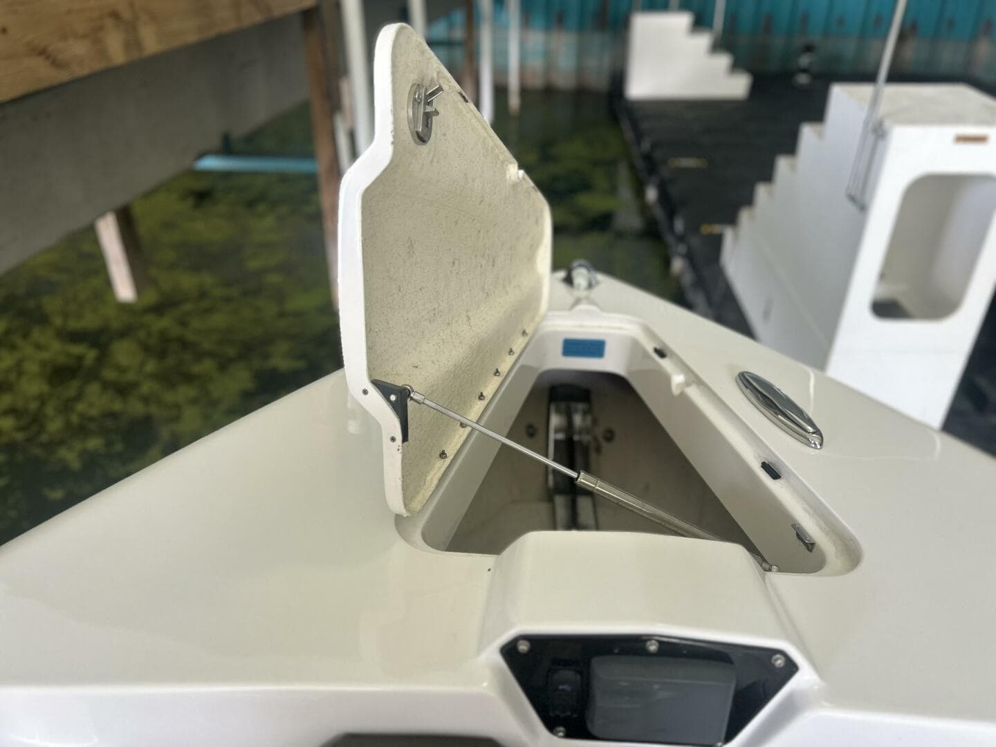 2019 Sunsation — photo 7