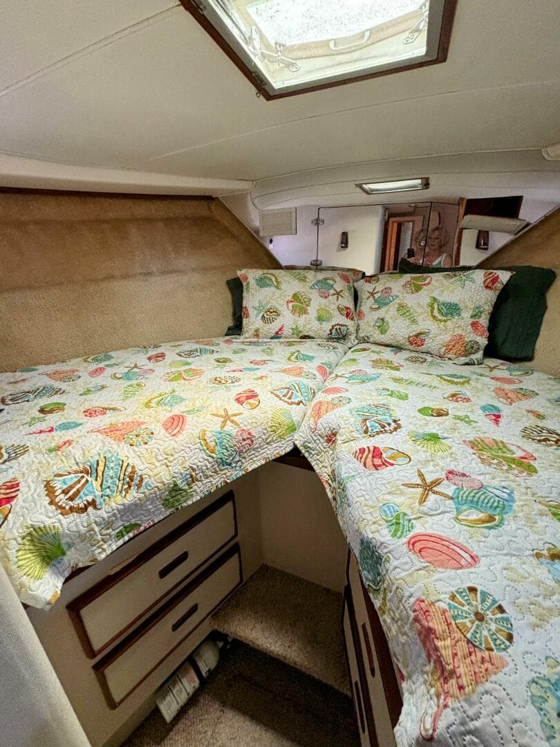 1977 Bertram 42 — photo 38