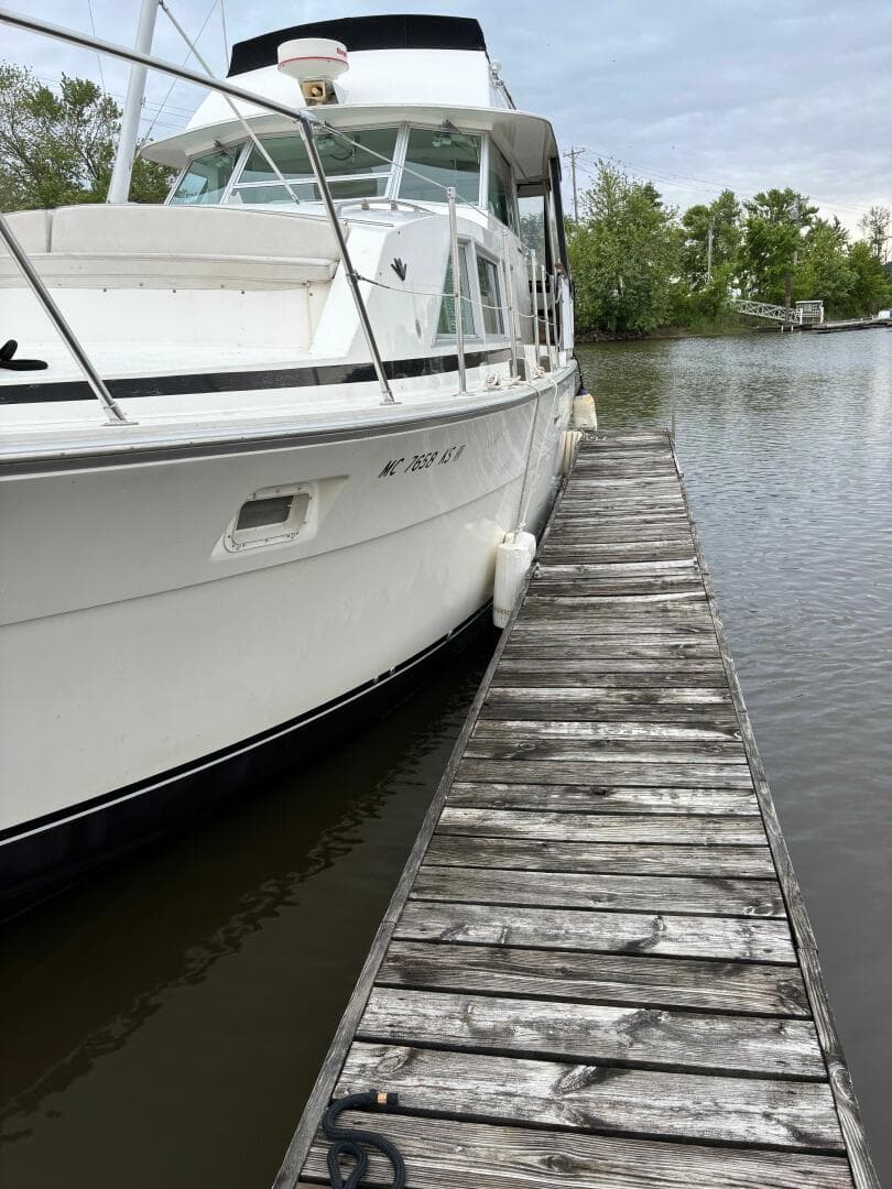 1977 Bertram 42 — photo 5