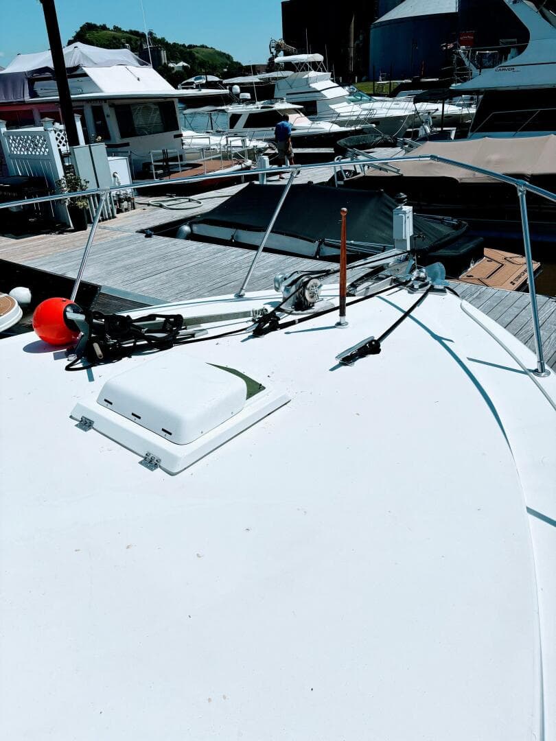 1977 Bertram 42 — photo 10