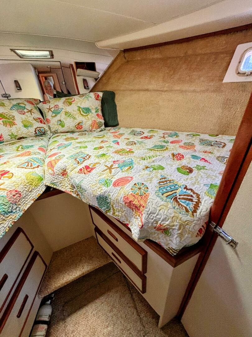 1977 Bertram 42 — photo 39