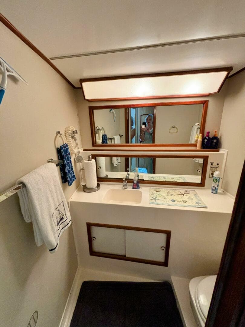 1977 Bertram 42 — photo 42