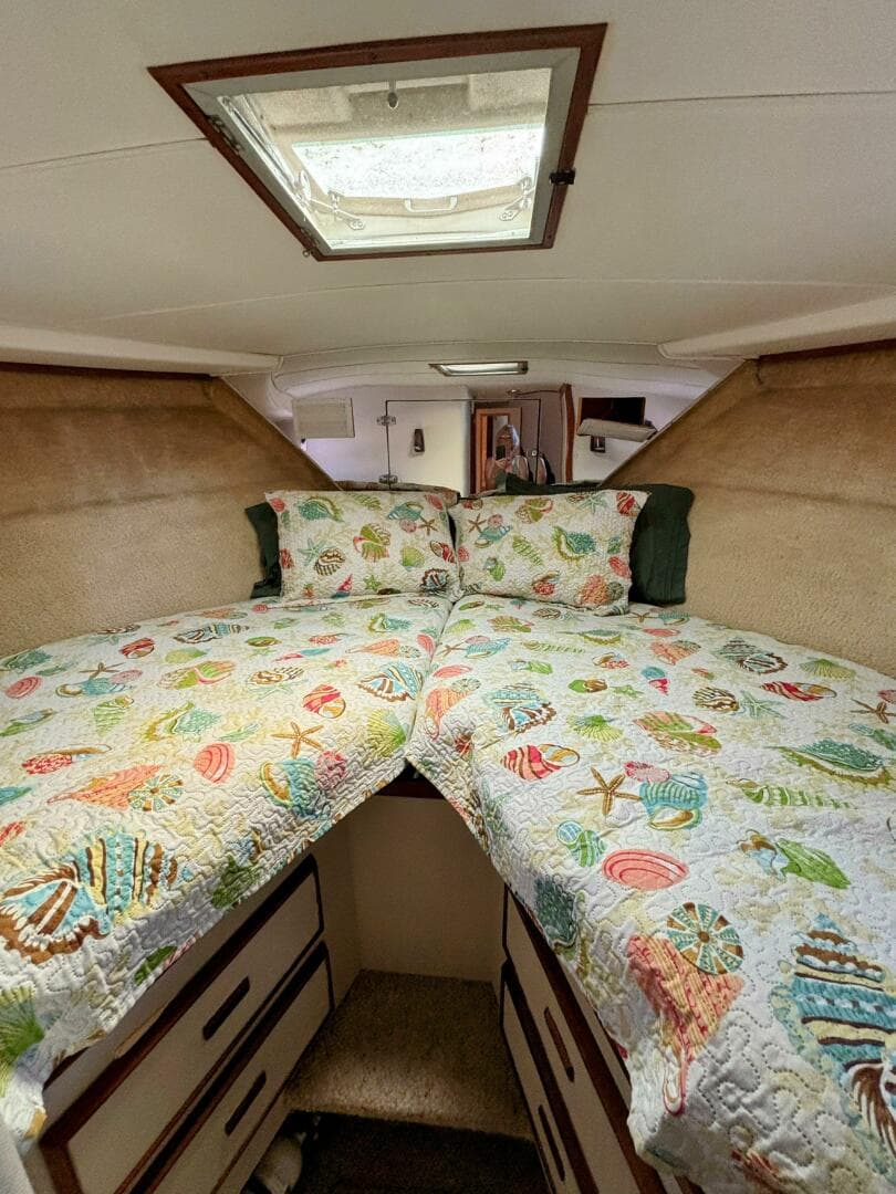 1977 Bertram 42 — photo 40