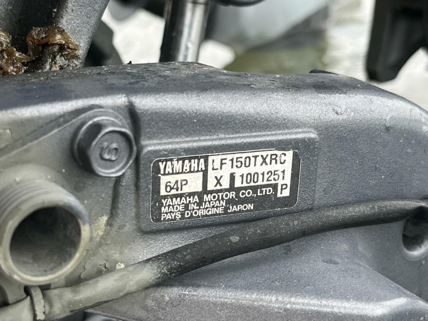 2004 Grady-White Gulfstream 232 — photo 40