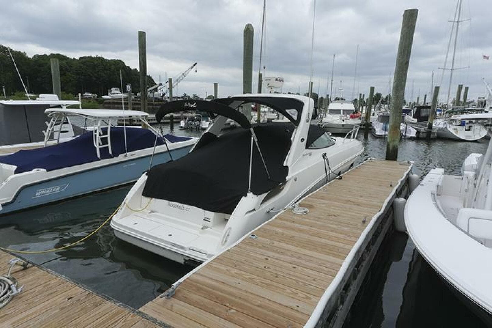 2010 Sea Ray 310 Sundancer — photo 43