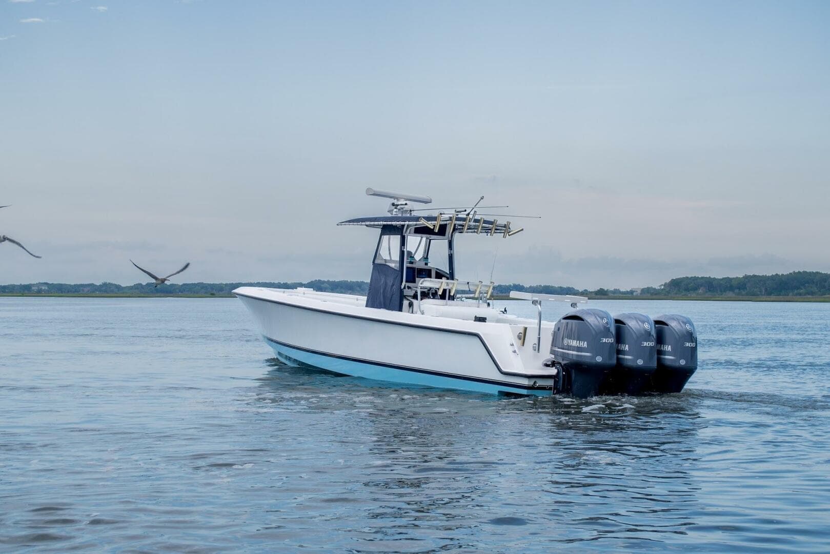 2007 Contender — photo 3