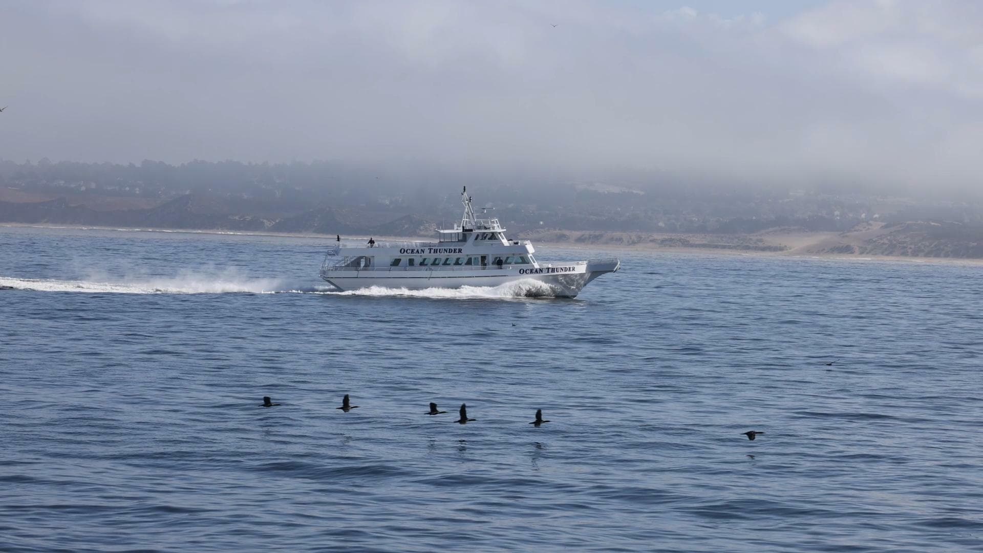 1986 Gulf Craft Passenger — photo 37