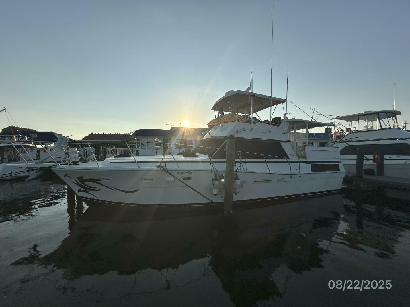 1984 Viking 44 — photo 4