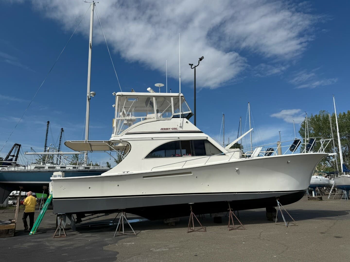 1991 Jersey Dawn — photo 6