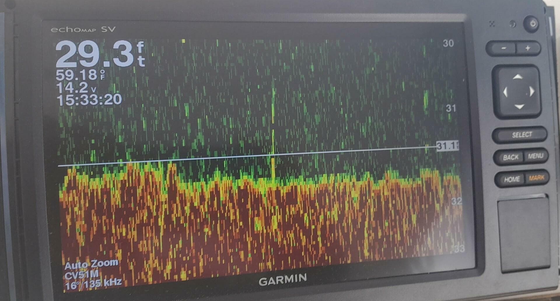 1991 Jersey Dawn — photo 16