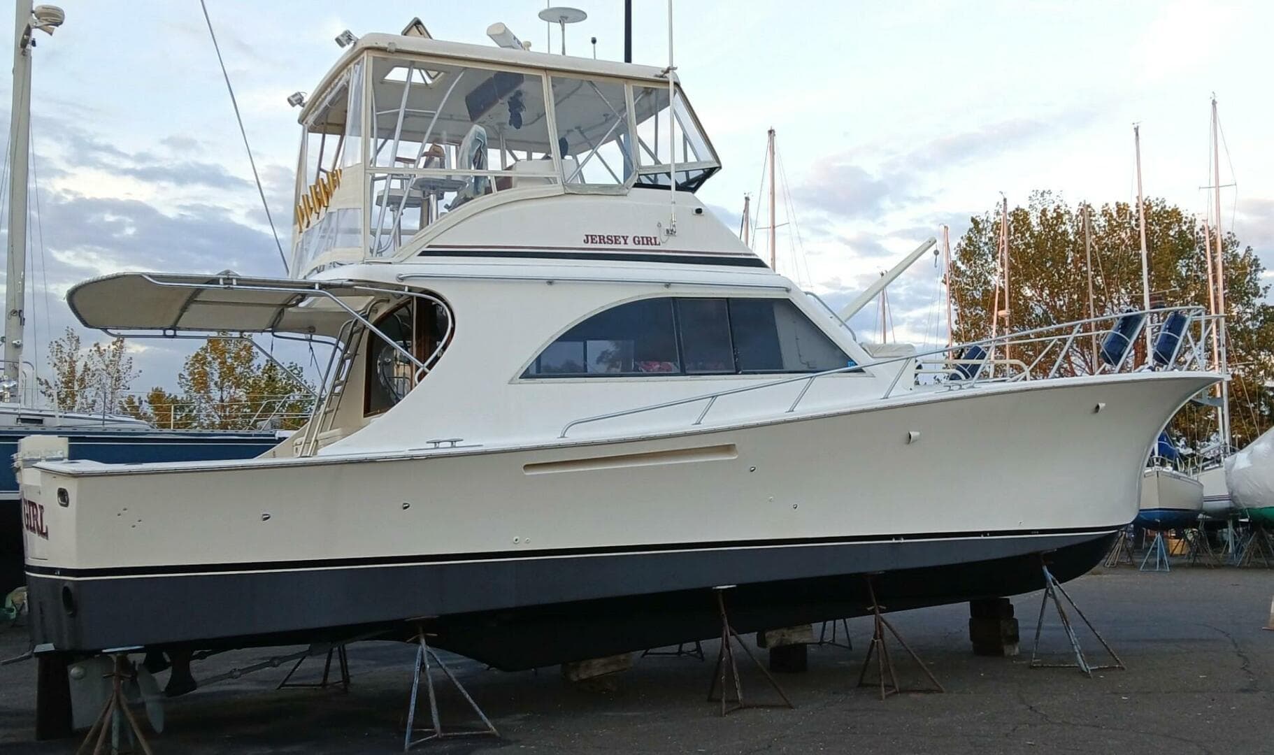 1991 Jersey Dawn — photo 4