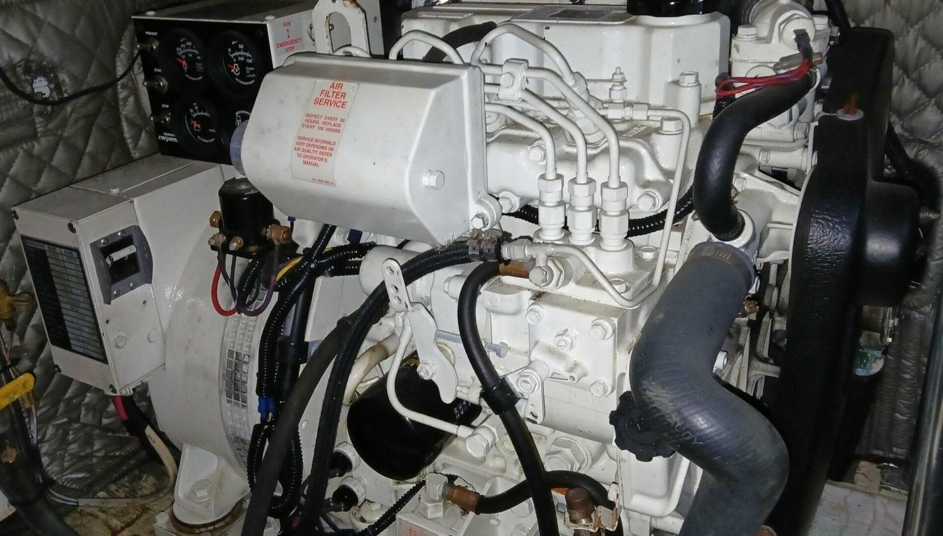 1991 Jersey Dawn — photo 29