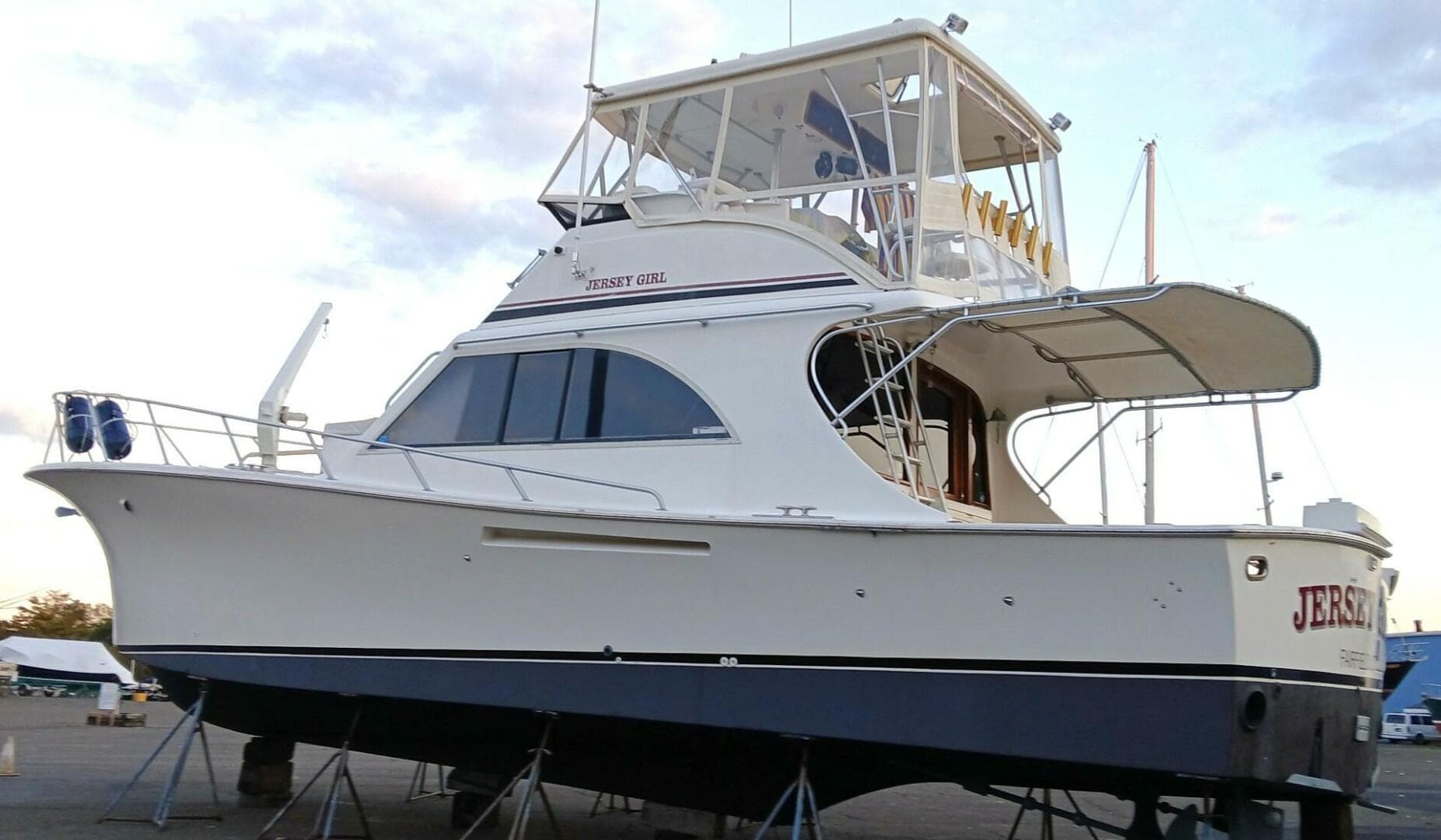 1991 Jersey Dawn — photo 2