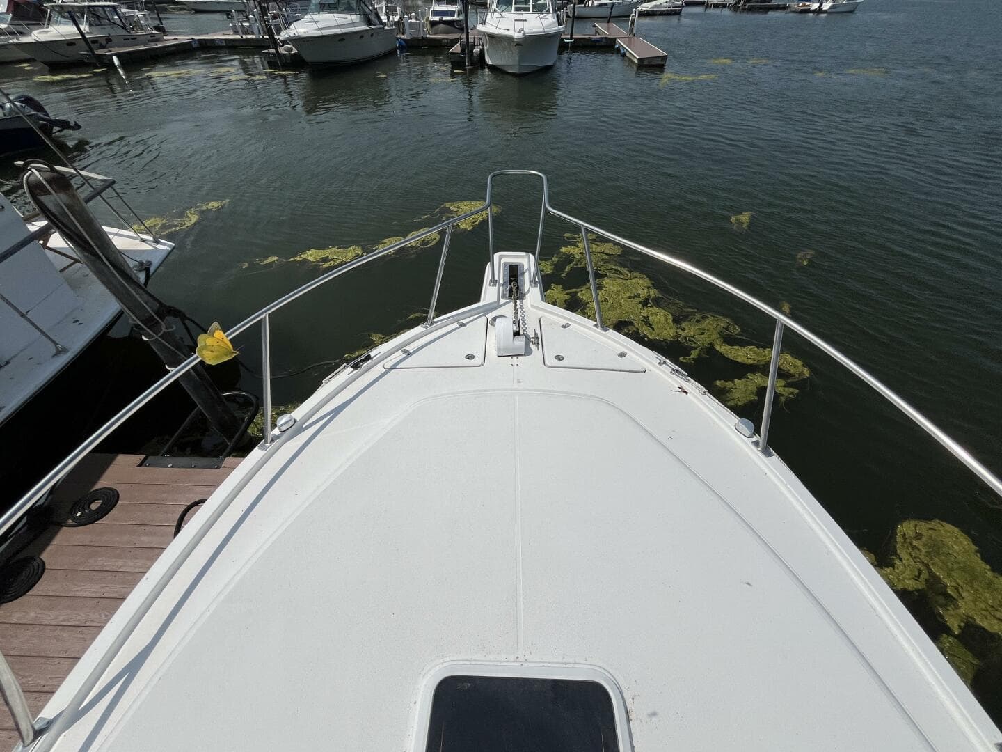 2001 Rampage 30 Express Open — photo 10