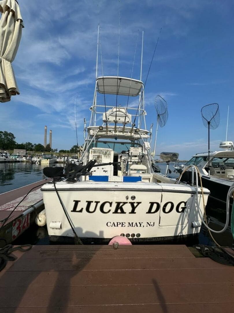 2001 Rampage 30 Express Open — photo 68