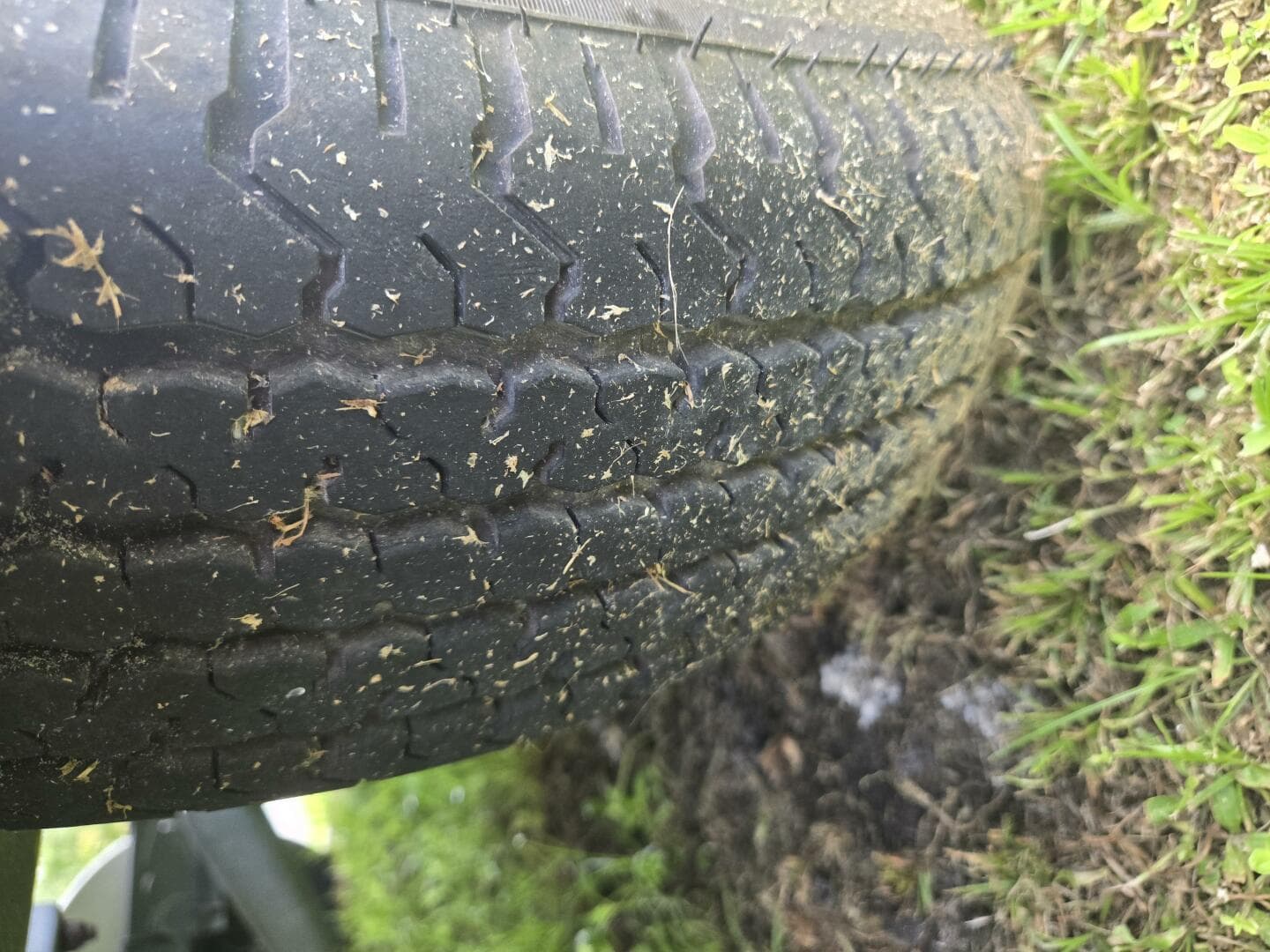 2005 Trophy — photo 49