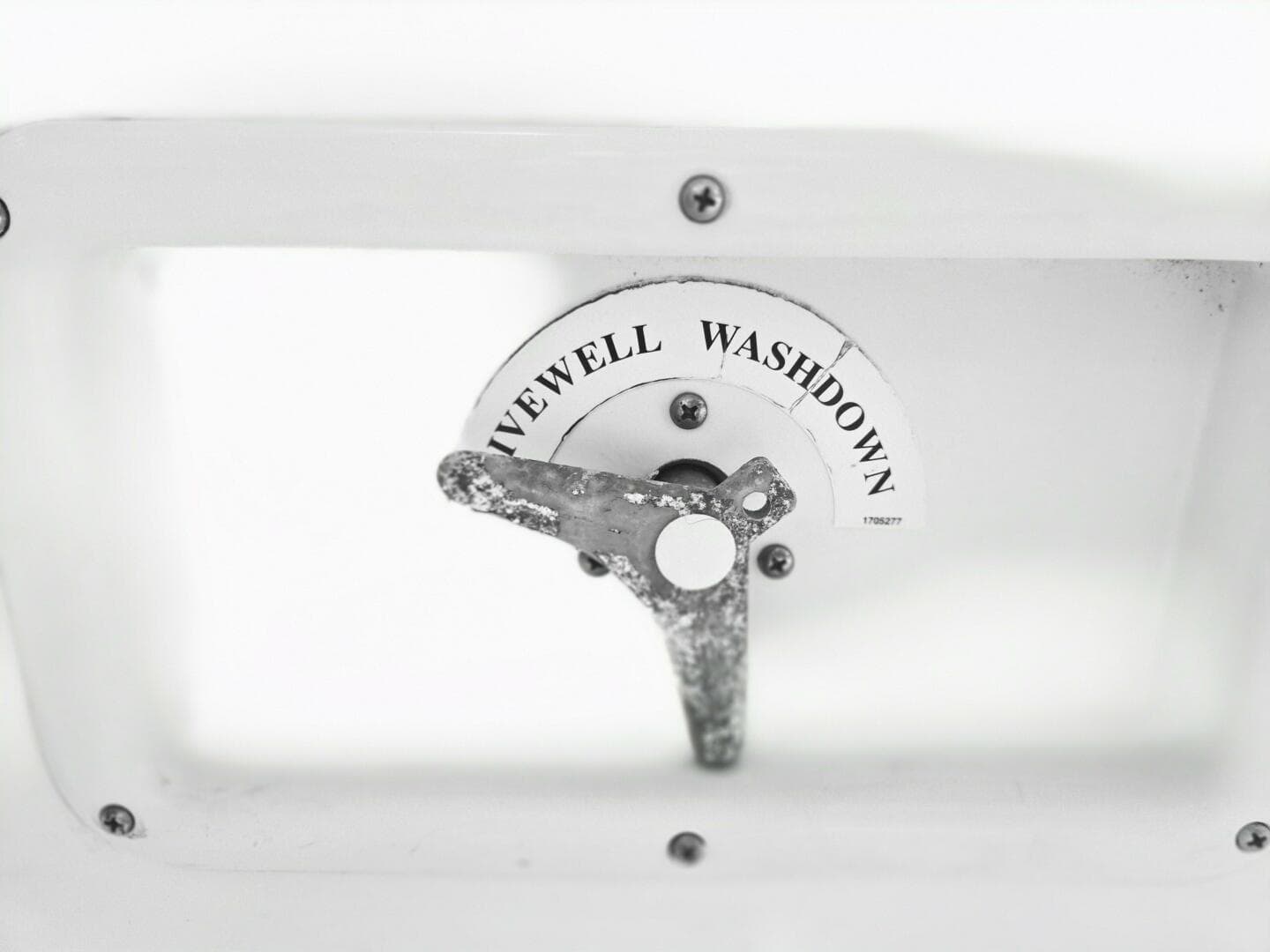 2005 Trophy — photo 25