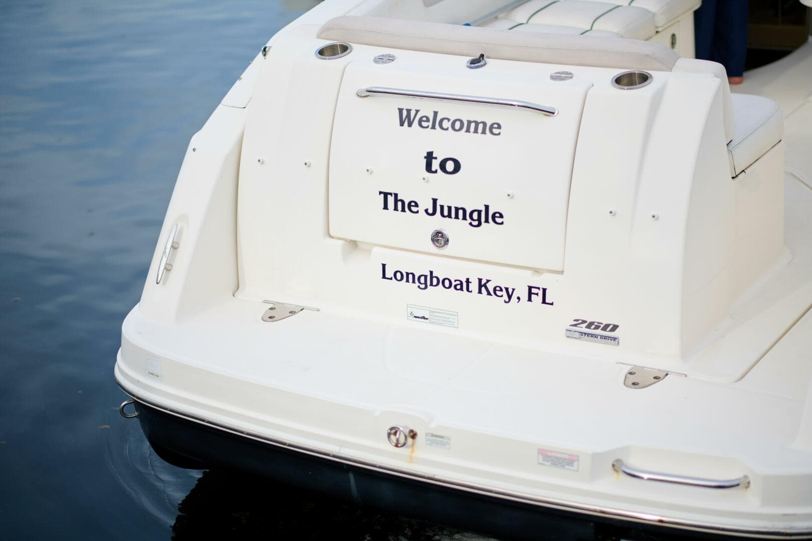 2011 Sea Ray 260 Sundancer — photo 4