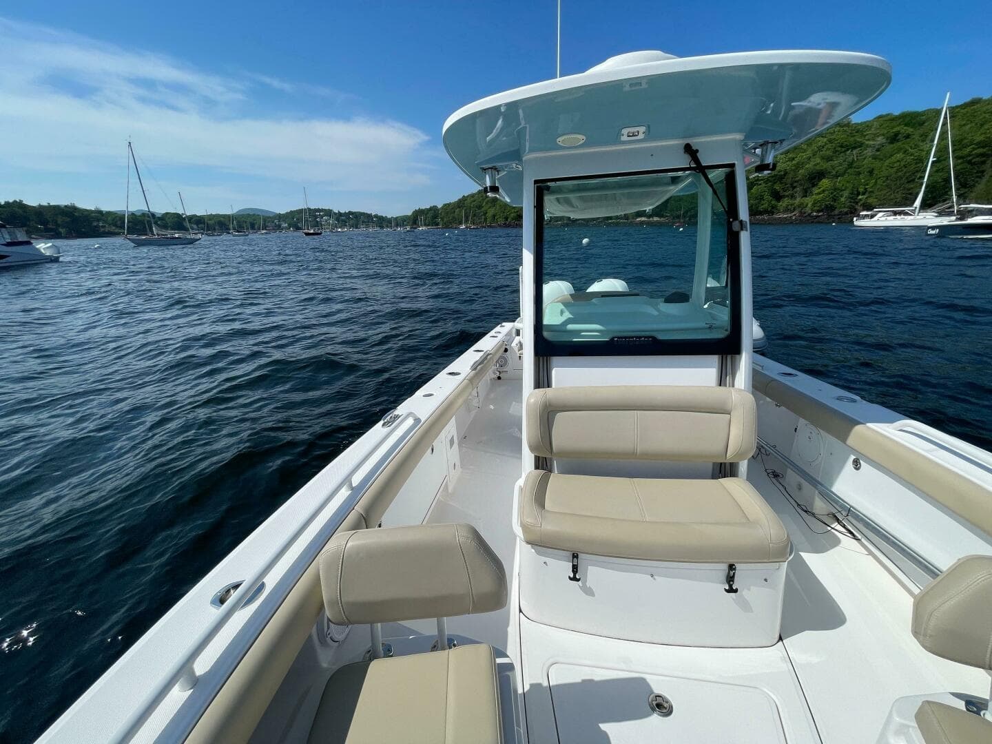 2019 Everglades 273 CC — photo 22