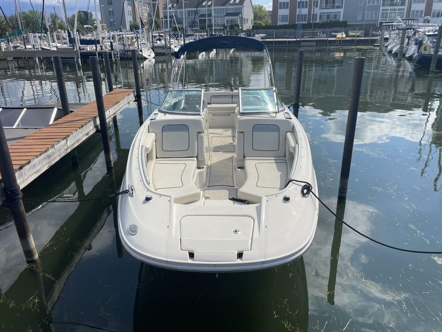 2010 Sea Ray 280 Sun Deck — photo 12