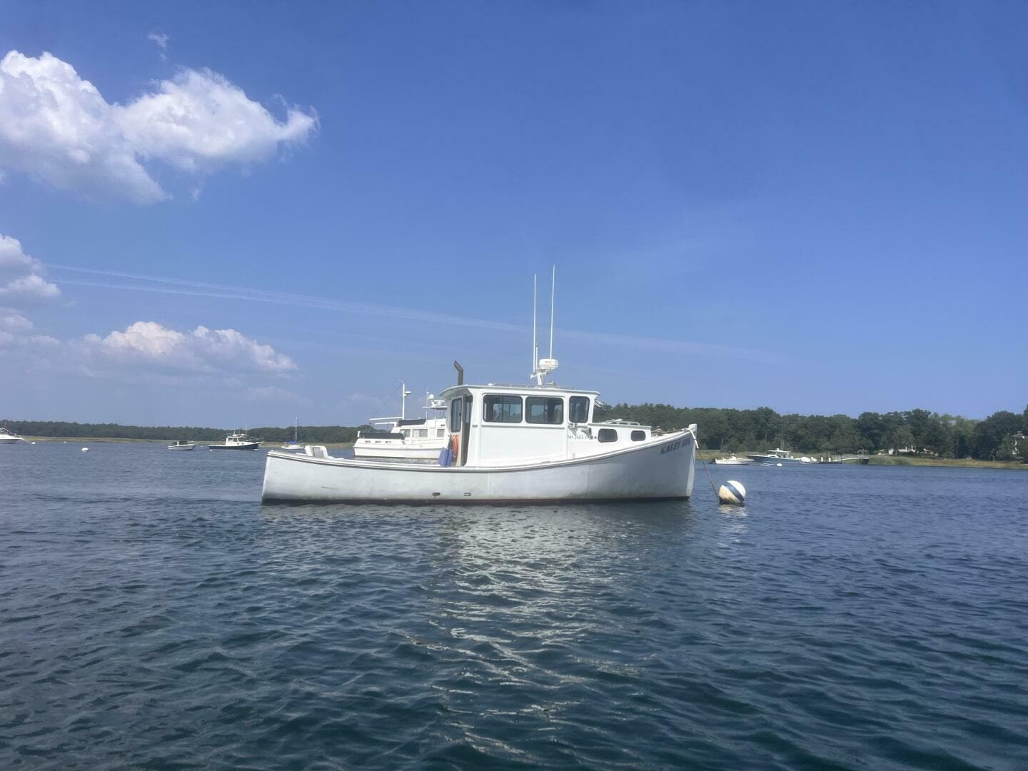 1982 Stanley Greenwood Novi — photo 5