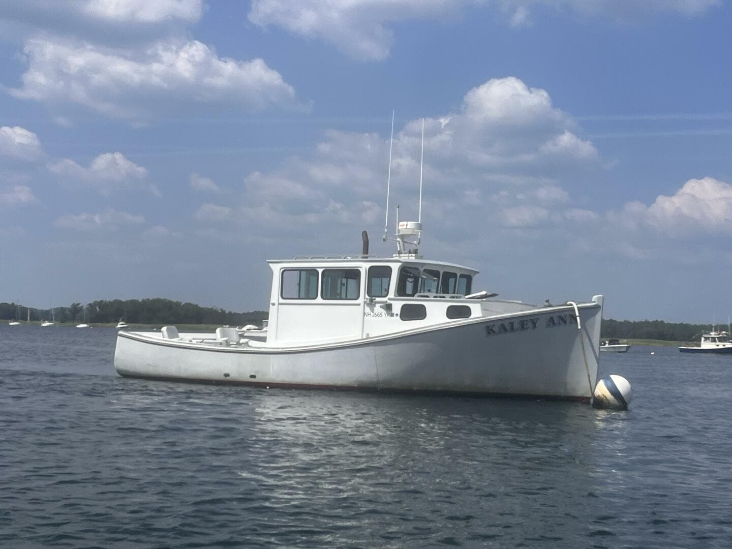 1982 Stanley Greenwood Novi — photo 2