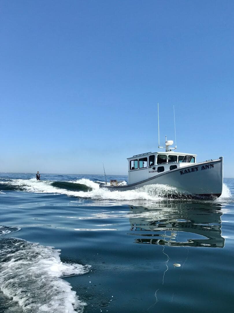 1982 Stanley Greenwood Novi — photo 1