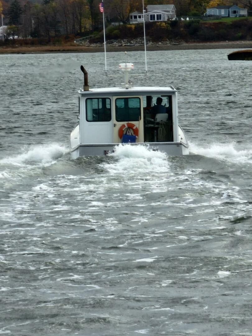 1982 Stanley Greenwood Novi — photo 7