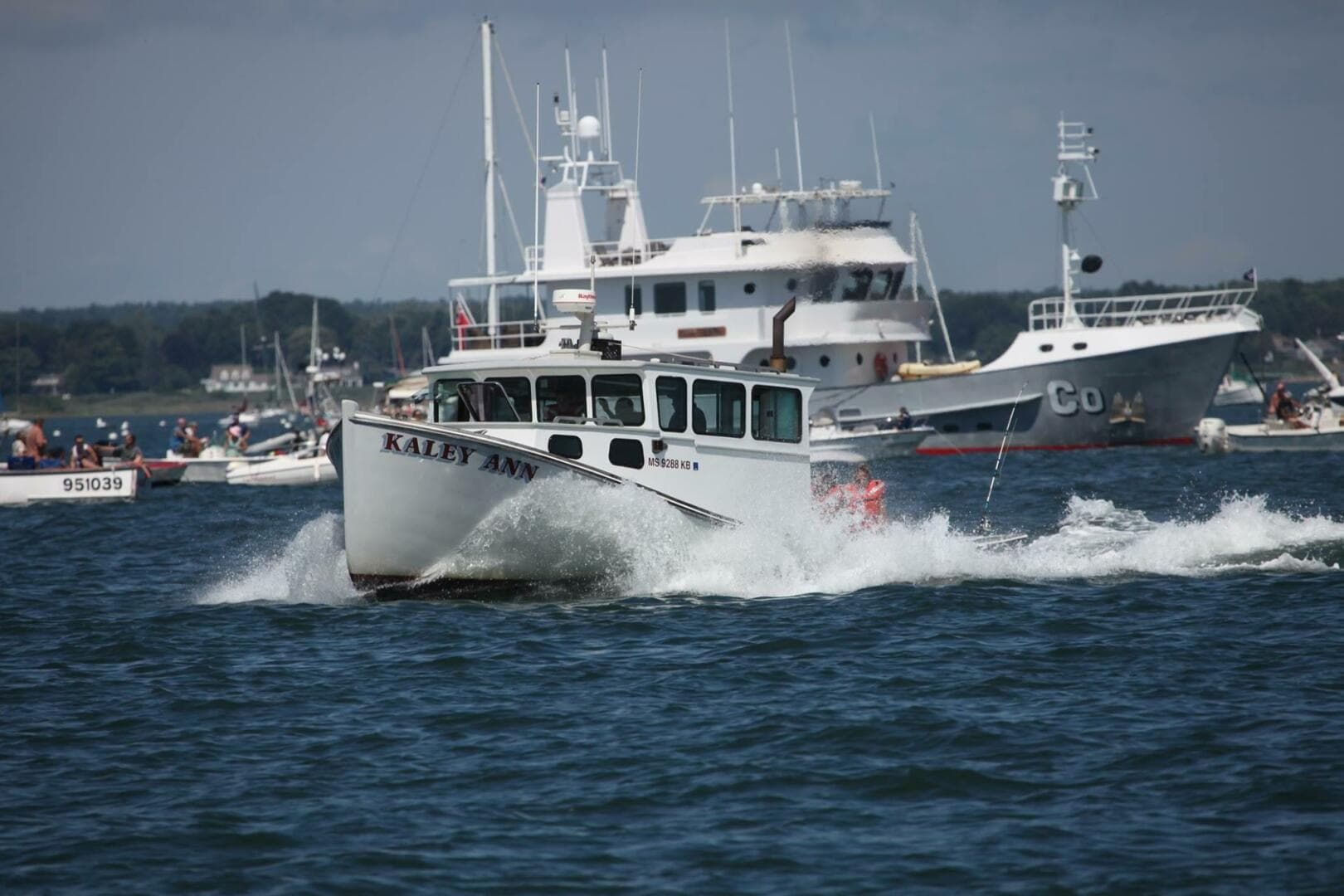 1982 Stanley Greenwood Novi — photo 3