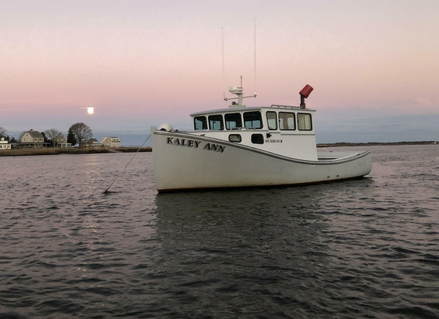 1982 Stanley Greenwood Novi — photo 4