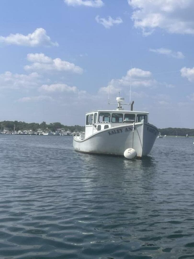 1982 Stanley Greenwood Novi — photo 6