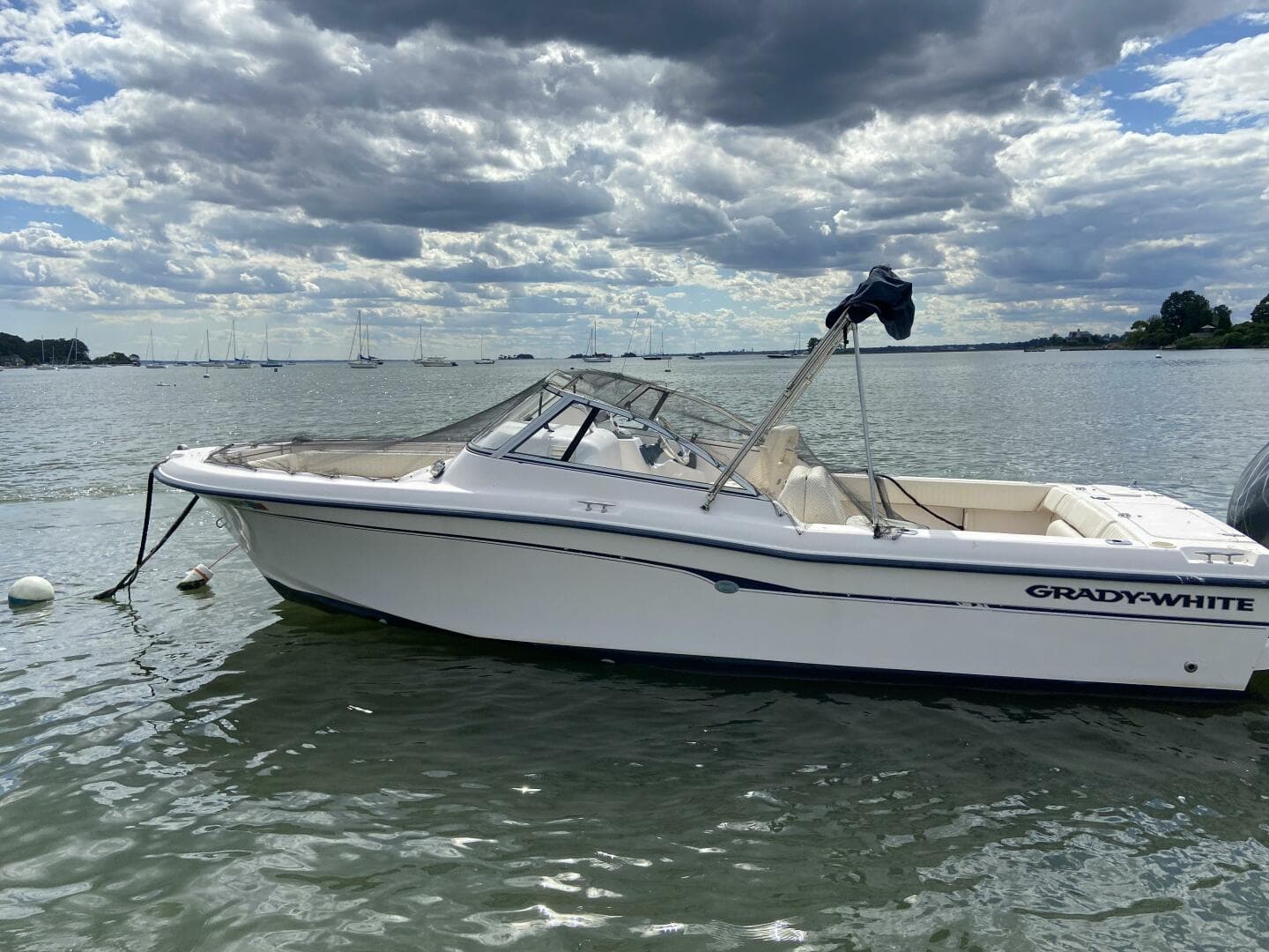 2006 Grady-White 225 Tournament — photo 2