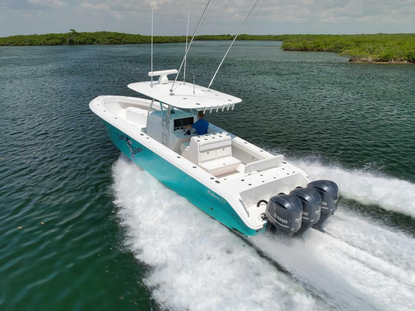 2013 Bahama — photo 4