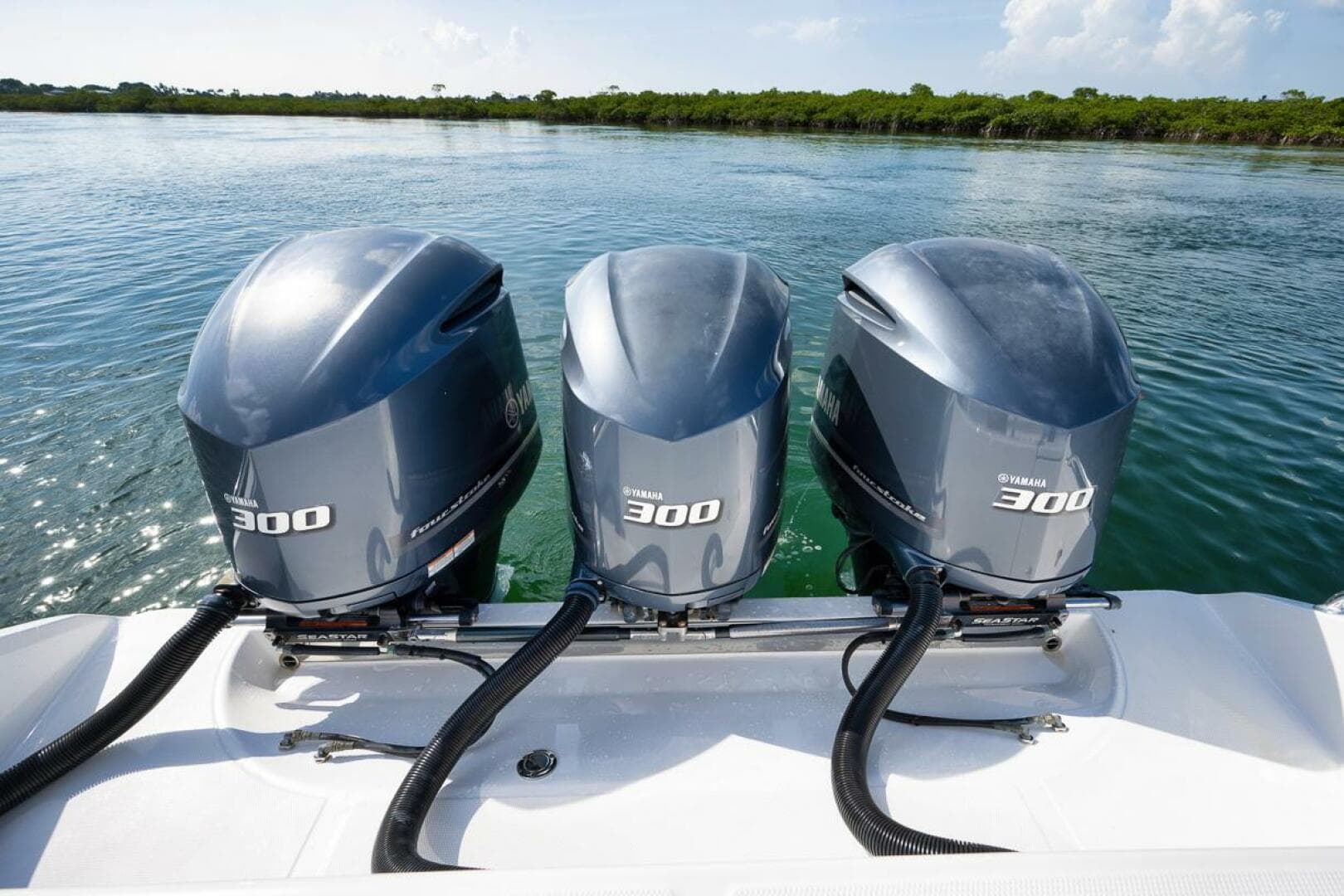 2013 Bahama — photo 75