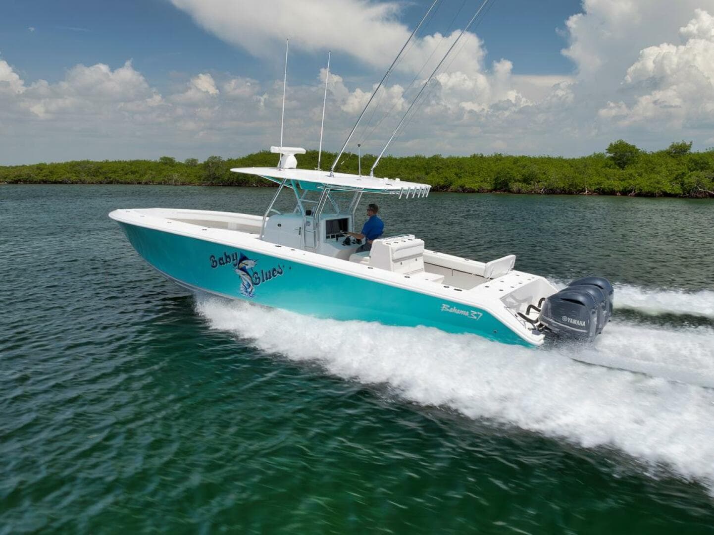 2013 Bahama — photo 5