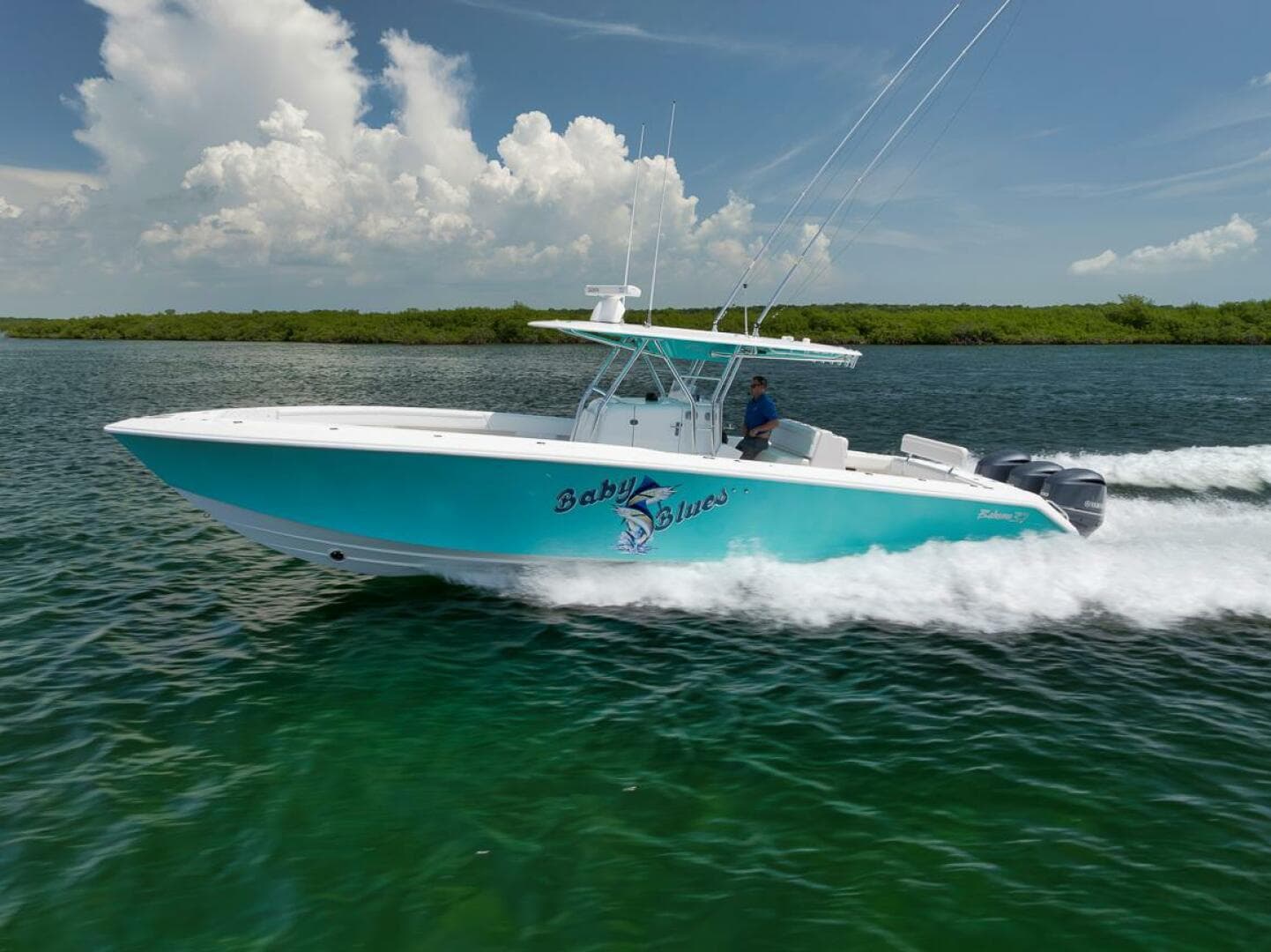 2013 Bahama — photo 8