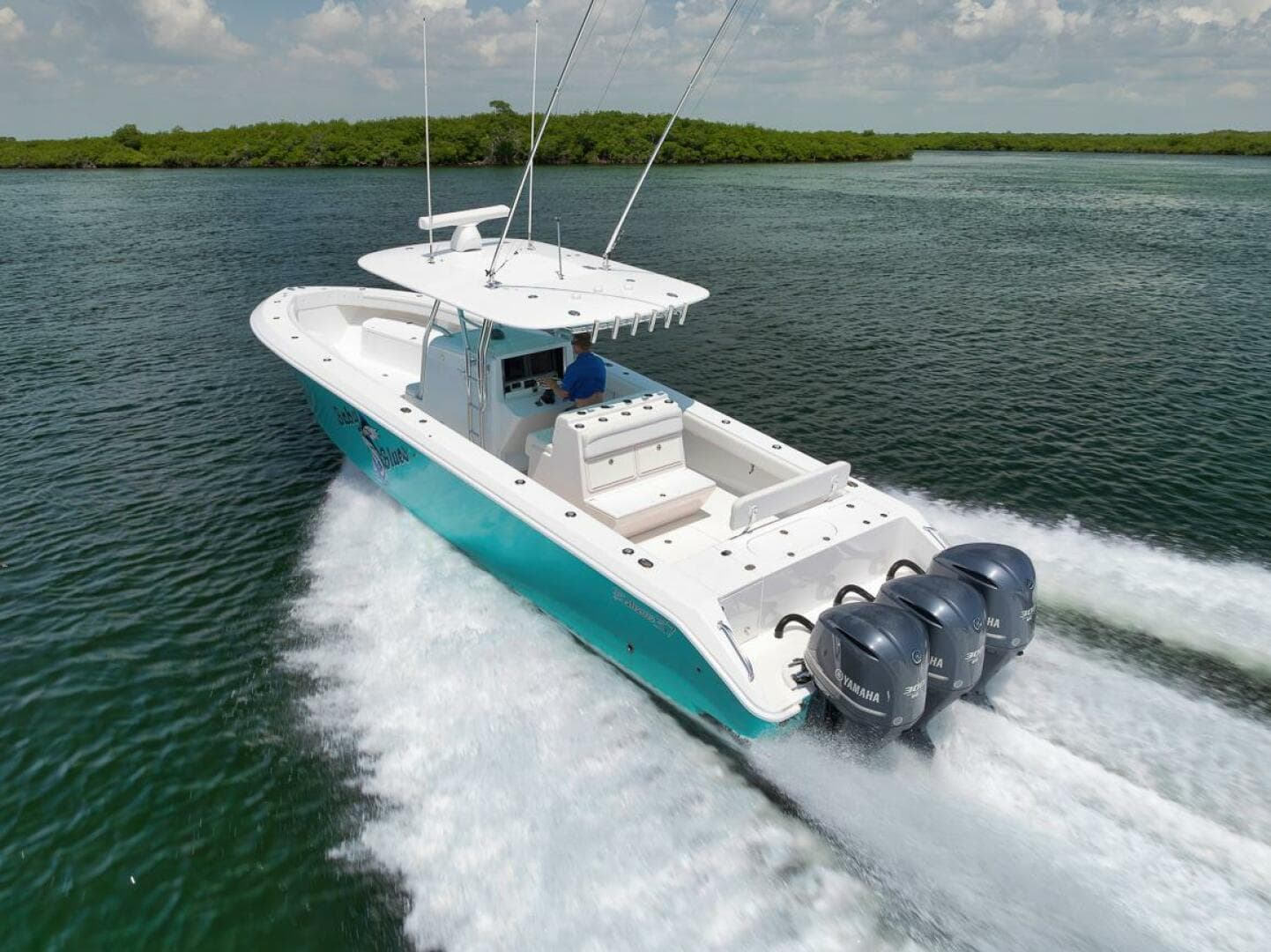 2013 Bahama — photo 6