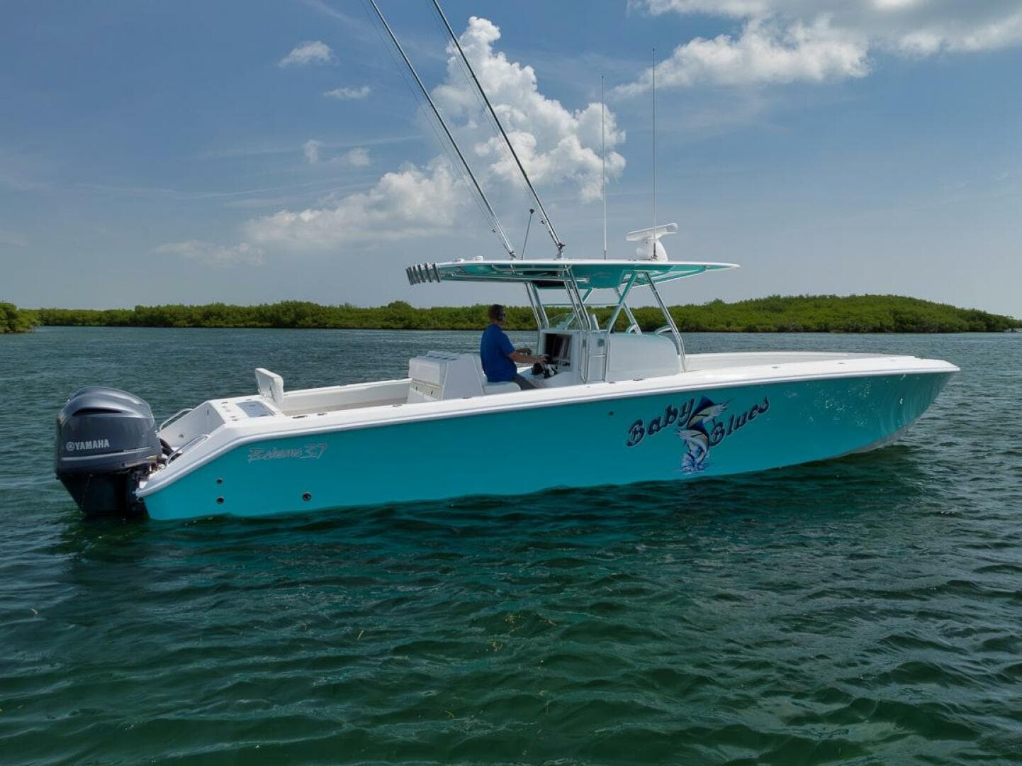 2013 Bahama — photo 20