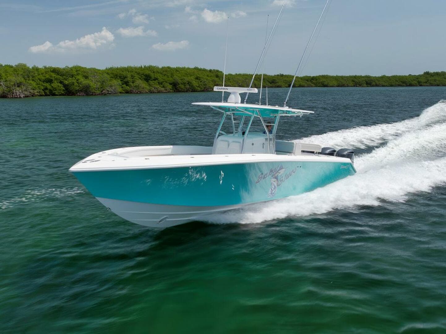 2013 Bahama — photo 11