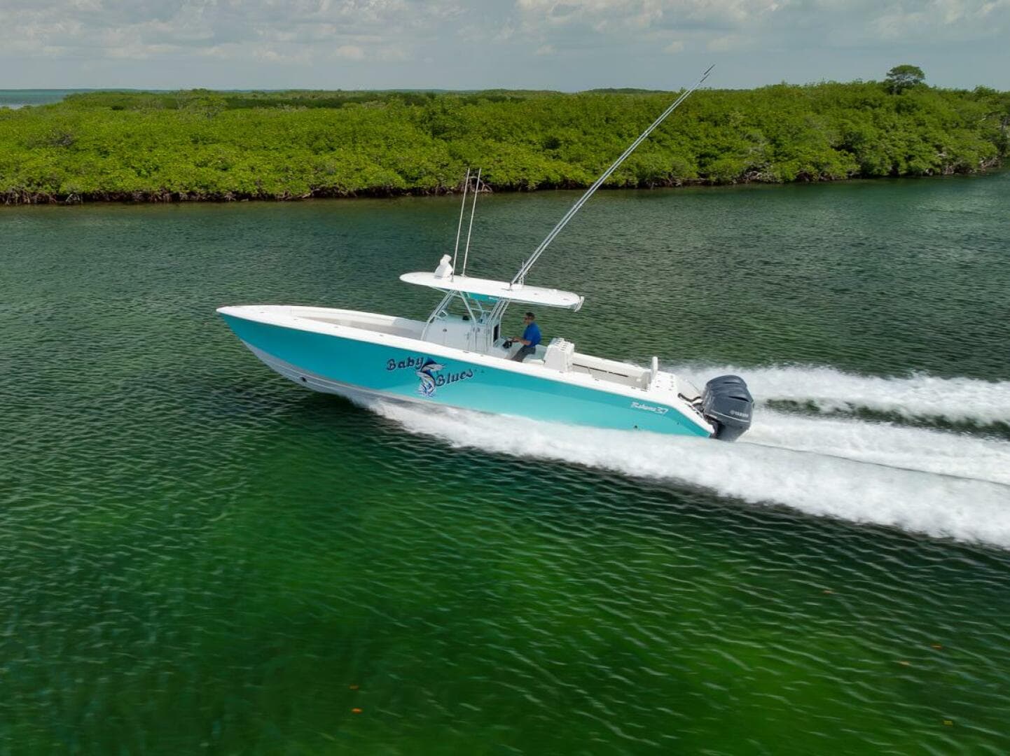 2013 Bahama — photo 2