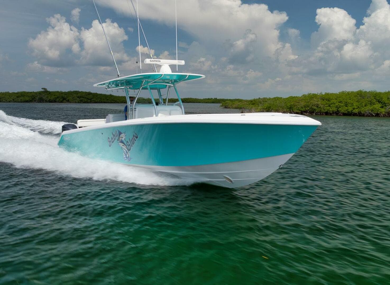 2013 Bahama — photo 28