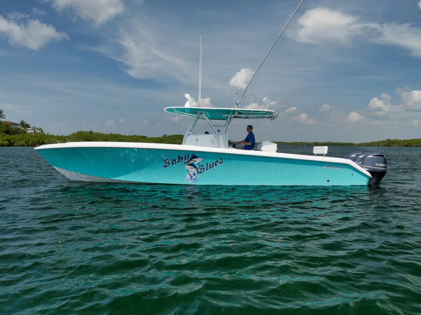 2013 Bahama — photo 18